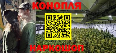 Альфа ПВП Краснознаменск