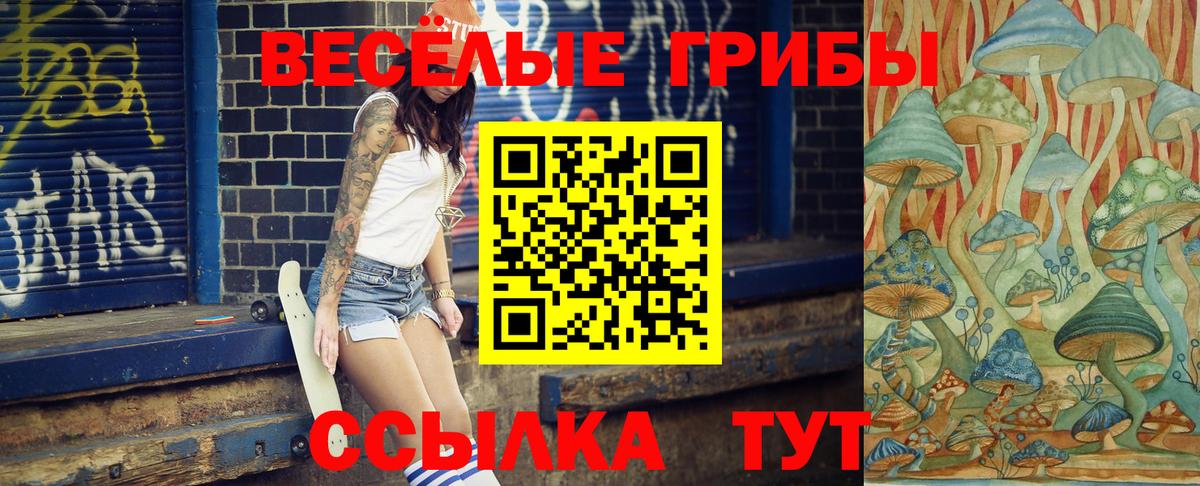Котлас  Галлюциногенные грибы прущие грибы  продажа наркотиков  Вход с VPN 
