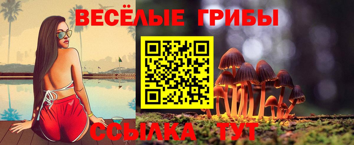 Галлюциногенные грибы Cubensis Котлас