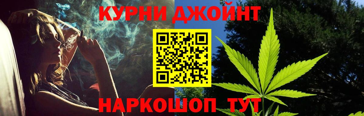 Конопля гибрид Котлас